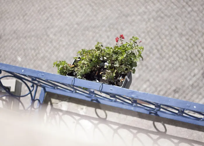 Happy Hostel&apartments Oporto