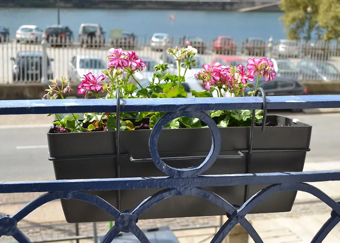 Happy بيت شباب *